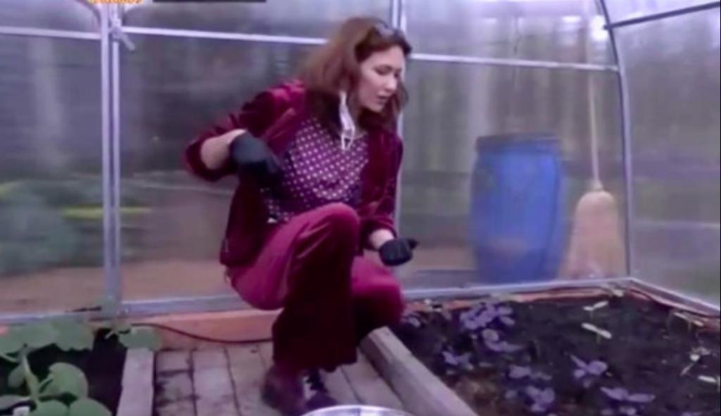 Роковая Екатерина Климова занялась садоводством: как выглядит загородный дом актрисы