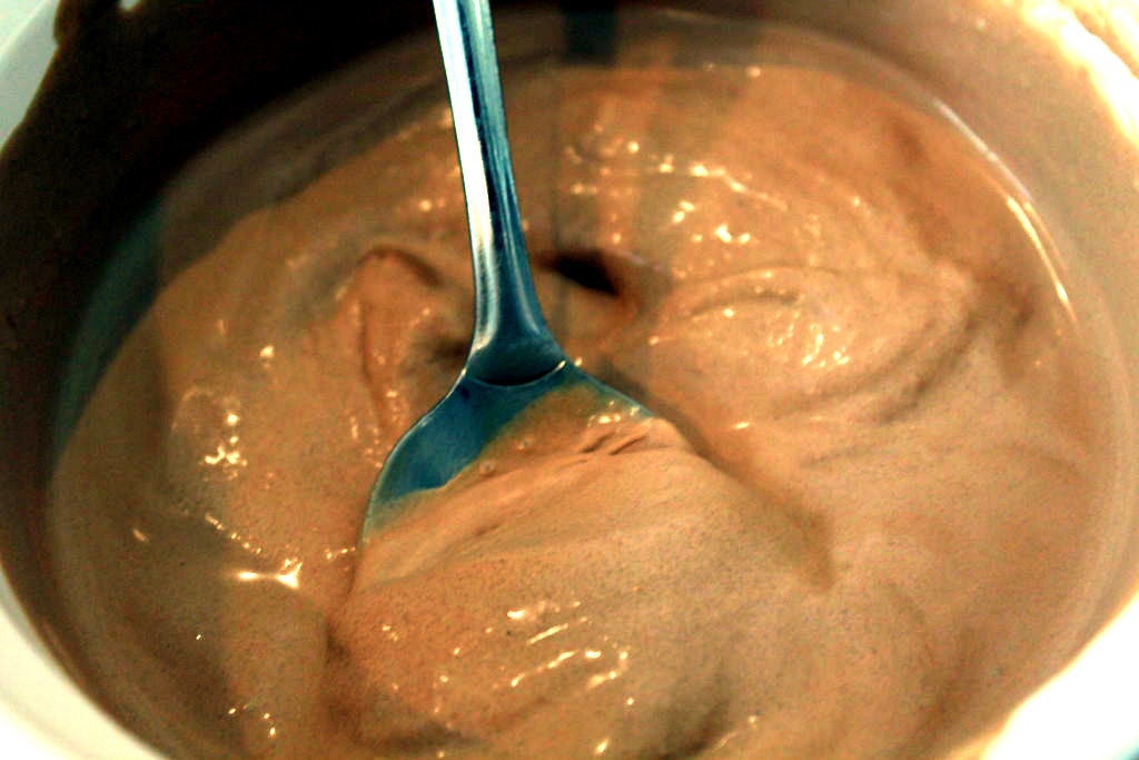 Вегетарианство или аллергия на молоко вовсе не повод отказываться от мороженого летом: домашний рецепт шоколадного десерта на кокосовом масле