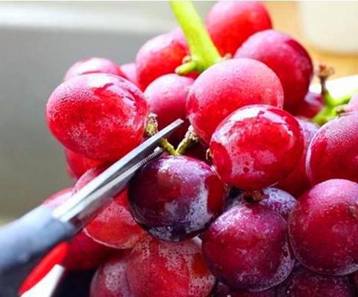 Просто промыть виноград водой – это все равно что съесть яйца насекомых. Чтобы ягоды стали чистыми, нужны соль, уксус и мука