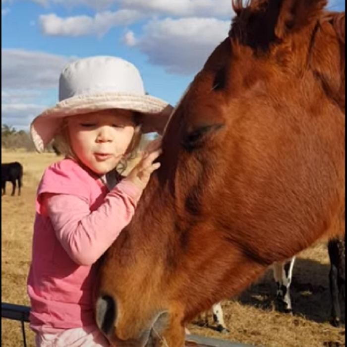 3-летняя малышка любит лошадей и поет им песни: видео