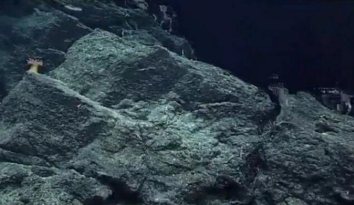 В Марианской впадине обнаружены бактерии, которые могут  рассказать , какие инопланетные формы жизни могли бы выжить в океанских глубинах спутников Юпитера или Сатурна