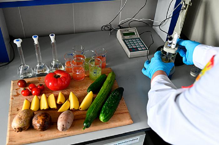 Никаких арбузов и дынь в июне: эксперты рассказали, как распознать токсины в овощах и фруктах