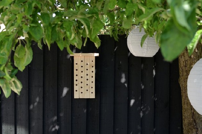 Для пчел-каменщиц, которые любят гнездиться в отверстиях, а не в ульях, смастерил уютное жилище всего из 5 досок: отличный аксессуар для любого огорода