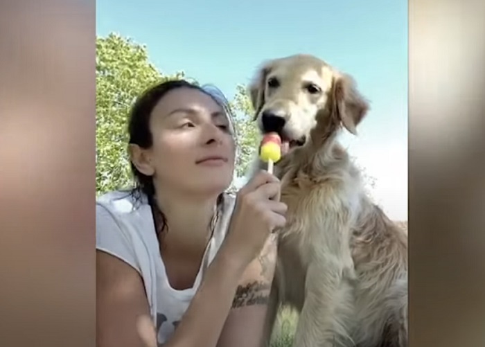 Пес отобрал мороженое у щенка: малыш ждал год, чтобы отомстить обидчику (видео)
