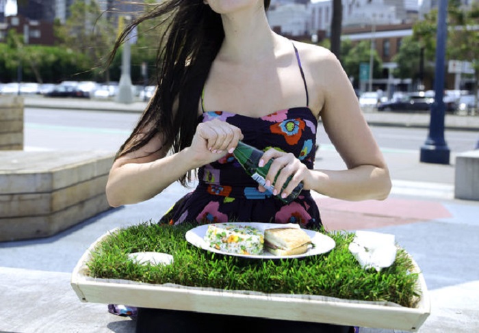 Моя девушка любит природу, поэтому сделал ей поднос для еды с настоящей газонной травой: теперь приношу не только завтрак, но и летнее настроение