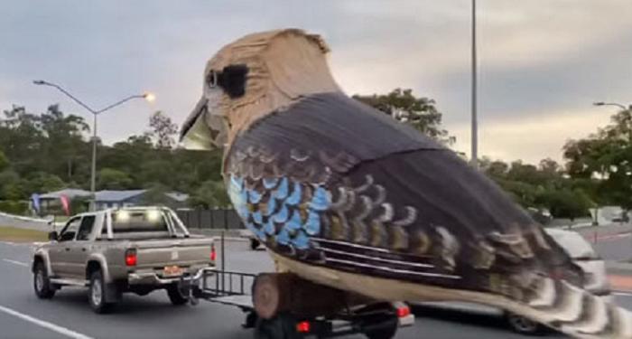 В Австралии мужчина соорудил огромную птицу и катался с ней по городу, чтобы повеселить людей во время карантина