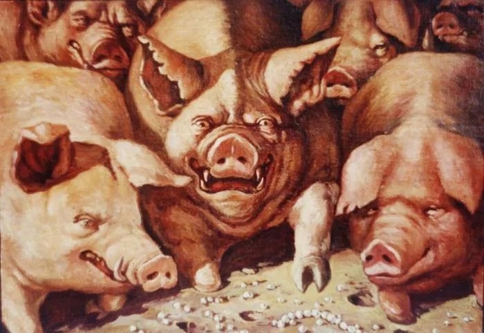 Не знала, что у фразы  метать бисер перед свиньями  есть продолжение: о чем оно