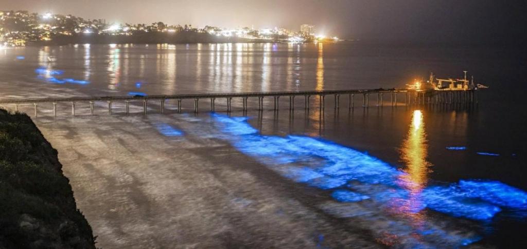 Ученые наконец то разгадали тайну  голубого свечения  морской воды – это не магия