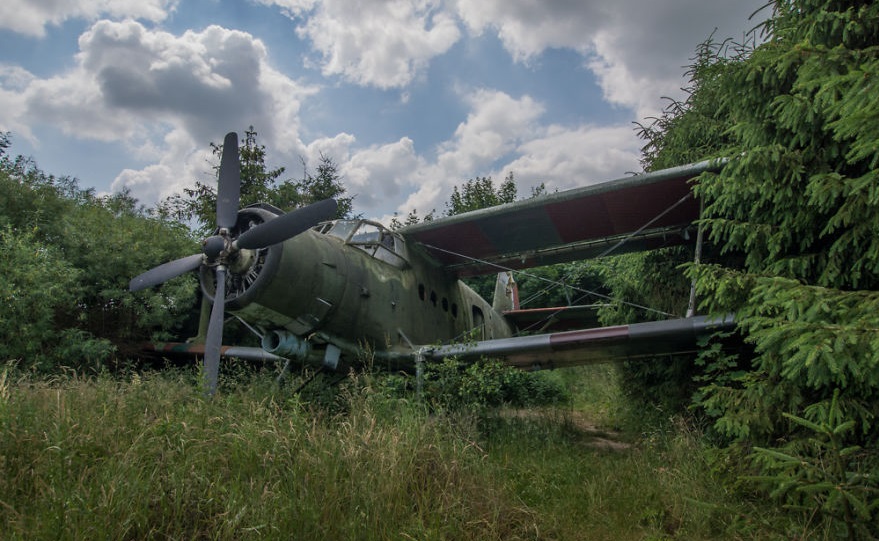 Путешествовал по Польше и нашел заброшенный самолет среди деревьев: фото