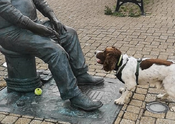 Собака пытается поиграть в мяч с памятником: видео