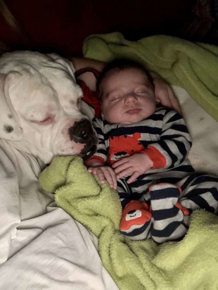 Камера сняла трогательный момент, когда малыш вылез из своей кровати, чтобы поспать со своей собакой