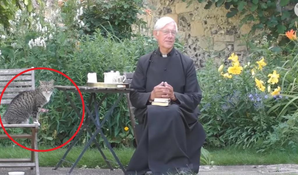 Католический священник читал проповедь онлайн, но все обратили внимание на его кота (видео)