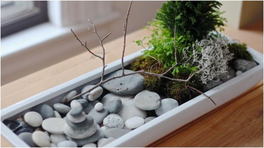 Сад дзен на окне: как создать мини-оазис душевного покоя и баланса в простой коробке на подоконнике