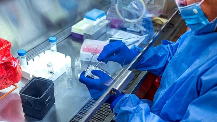 Группа ученых из 32 стран планирует в ближайшие дни потребовать от ВОЗ пересмотреть рекомендации по коронавирусу