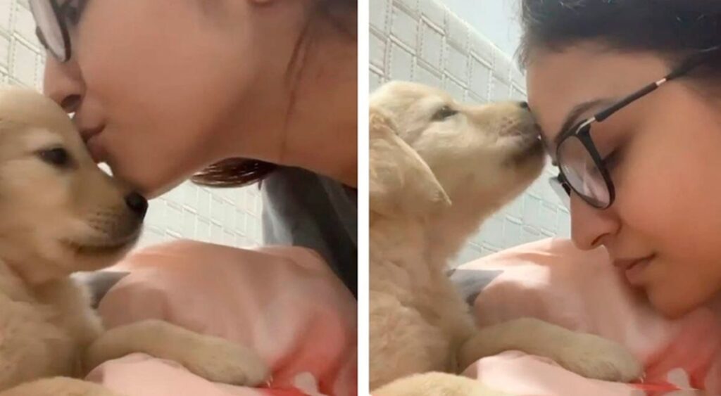 Хозяйка поцеловала своего щенка: питомец не оставил ее без взаимности (милое видео)