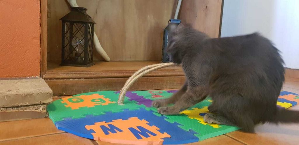 Для кошачьей лежанки я выбрала необычную форму и материал: огромный шлепанец из пенопластовой мозаики