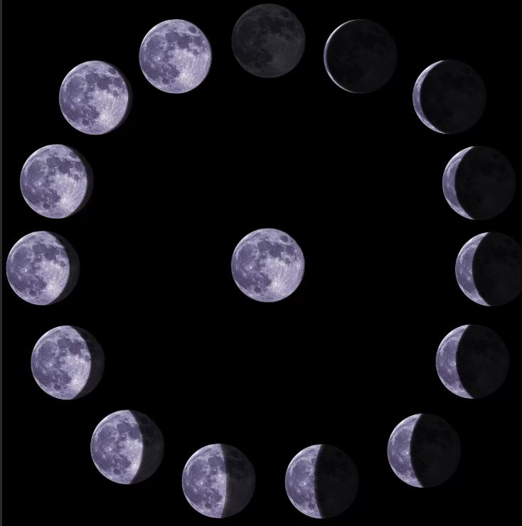 Что делать, а чего не стоит в первую неделю августа: смотрим лунный календарь