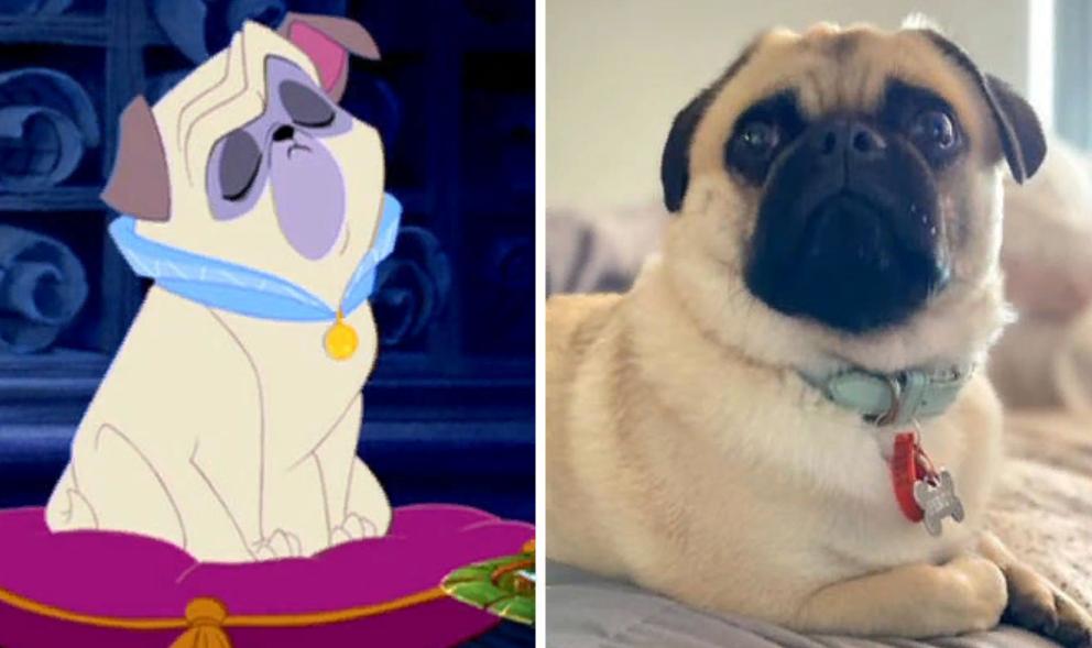Люди публикуют фотографии персонажей мультфильмов и их собак двойников: сходство сложно не заметить
