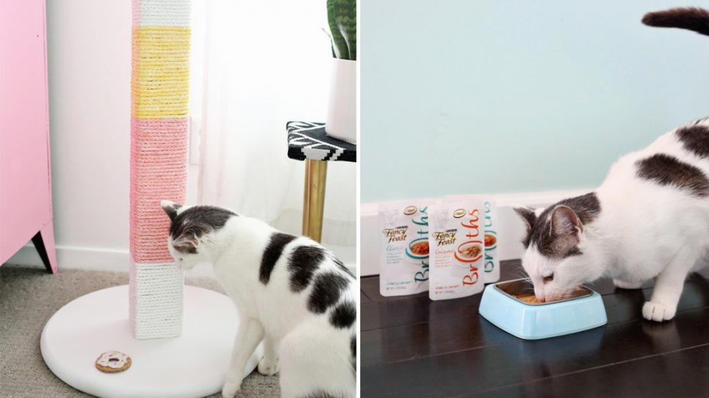 Как сделать для кота необычную разноцветную когтеточку: делюсь простым способом