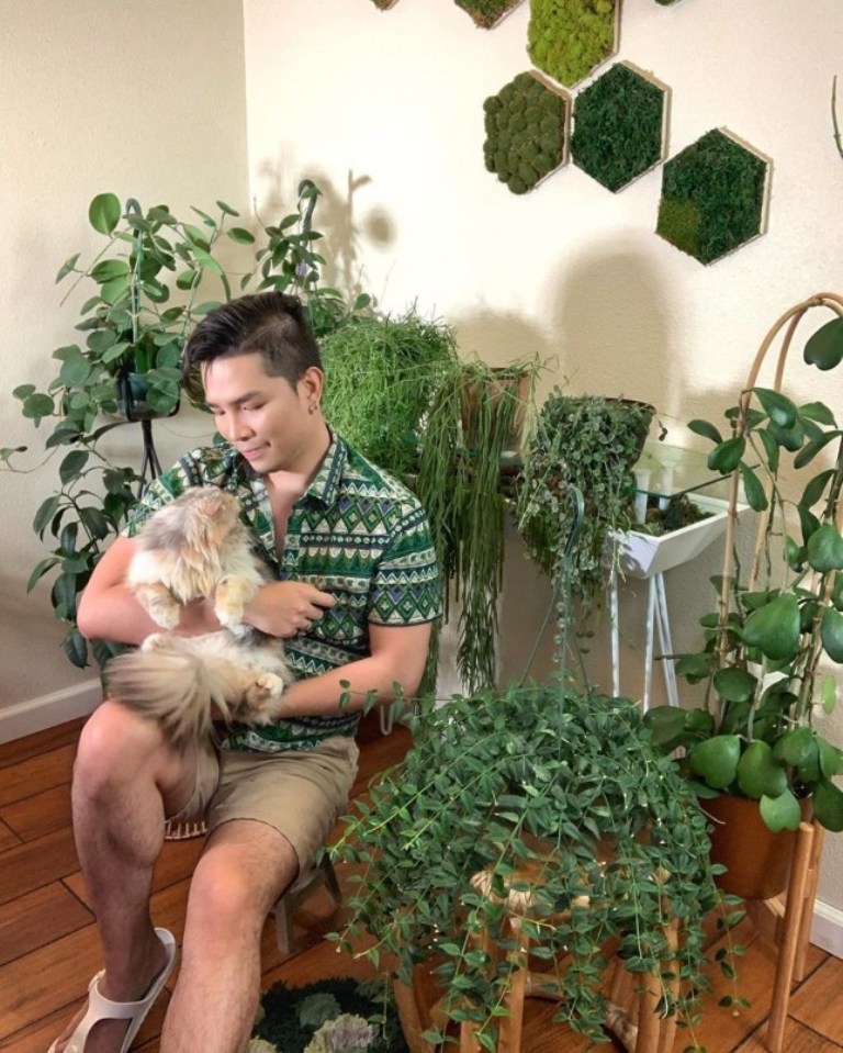 Парень потратил более $ 5000 на покупку растений, и теперь его дом выглядит как ботанический сад (фото)