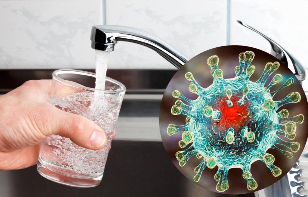 Кипячение не обязательно: в Роспотребнадзоре объяснили, за сколько часов коронавирус погибает в воде