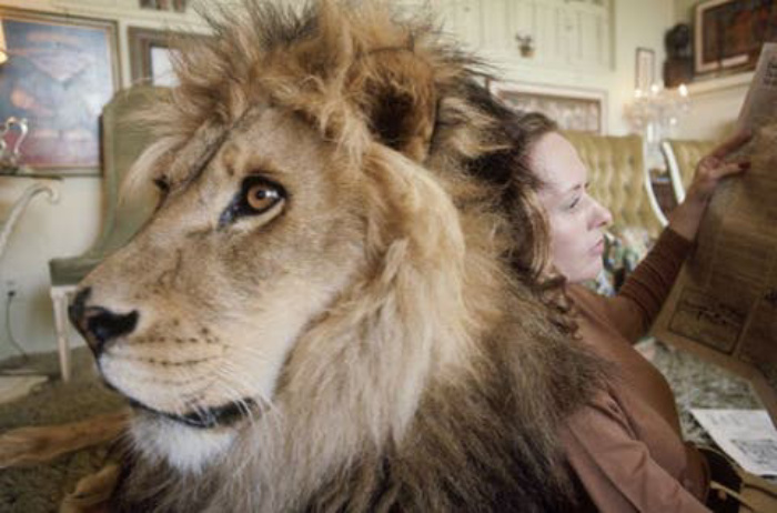 В детстве у Мелани Гриффит было домашнее животное   Лев: фотографии питомца
