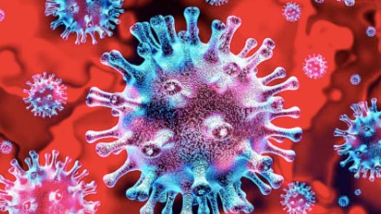 По словам вирусологов и иммунологов, в помещениях с плохой вентиляцией наибольший риск заражения коронавирусом
