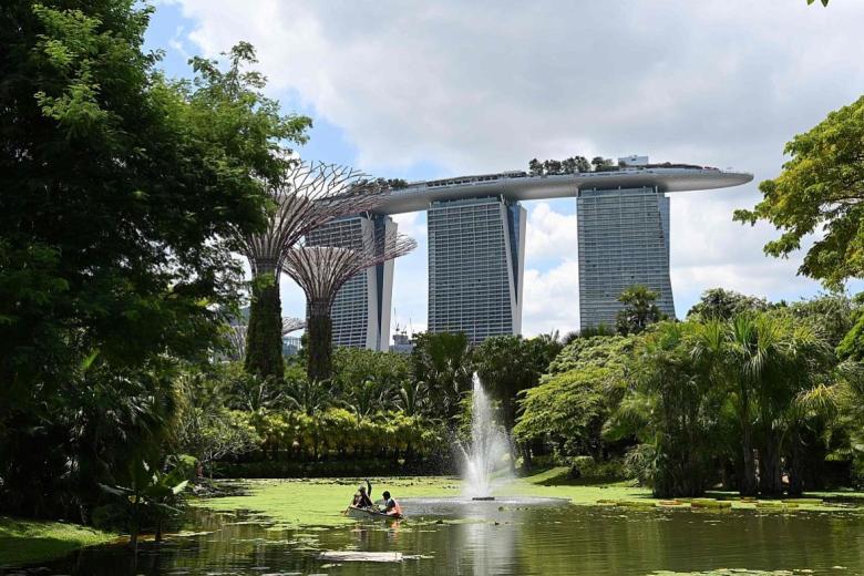Пора охладиться: 100 000 новых деревьев посадят в промышленных зонах западного побережья Сингапура