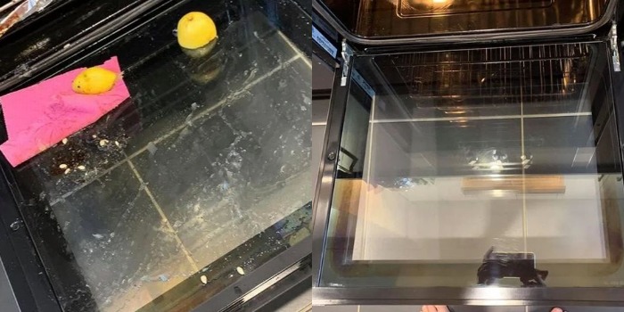 Отмыла духовку без усилий и химии: мама подсказала лайфхак с лимоном