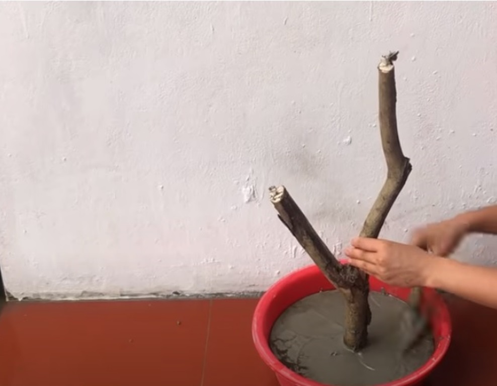Девушка вставила ветку дерева в цементный раствор. На садовый декор, который она сделала своими руками, пришли полюбоваться все соседи