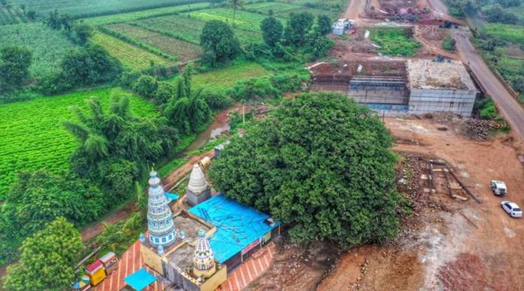 Оно хранит легенды, фольклор и воспоминания о детстве: в Индии при строительстве дороги люди спасли 400-летнее дерево