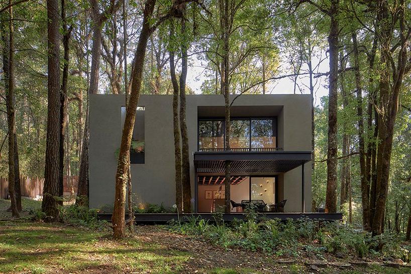 Мексиканская фирма построила домики из вулканического камня прямо посреди леса: проект состоит из 5 строений, разделенных участками леса