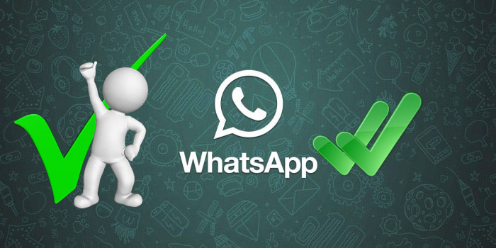 Одиннадцать новых и предстоящих функций WhatsApp, которые сделают общение лучше