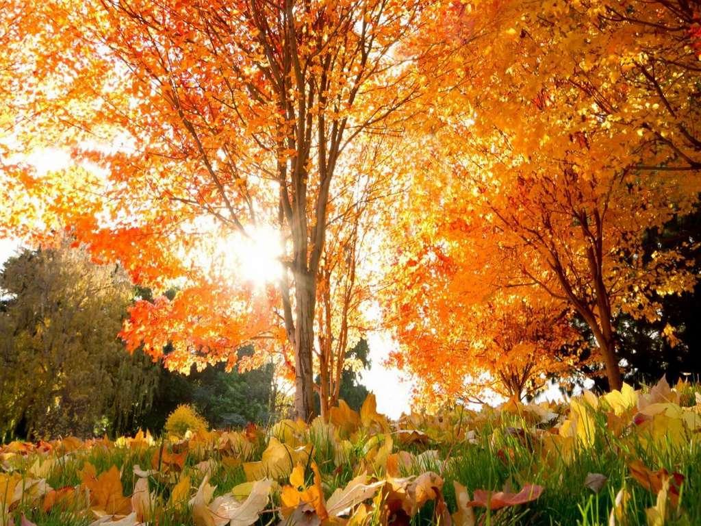 Увидеть радугу значит ждать теплую осень: приметы на Успение Пресвятой Богородицы