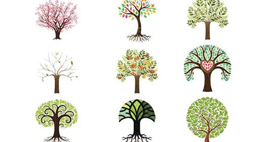 Психологи считают, что выбор дерева расскажет о вашей доминирующей черте личности