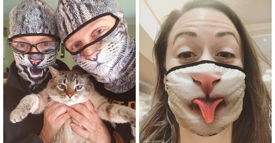  25 странных и смешных защитных масок для людей кошек