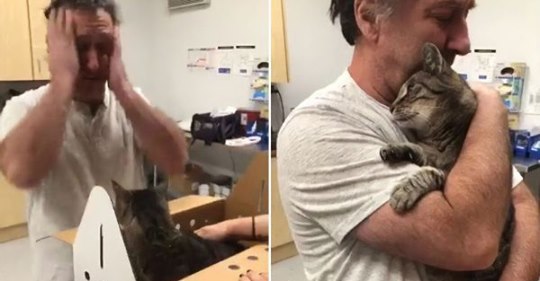 Владелец нашёл своего 19-летнего кота через 7 лет после того, как тот пропал без вести
