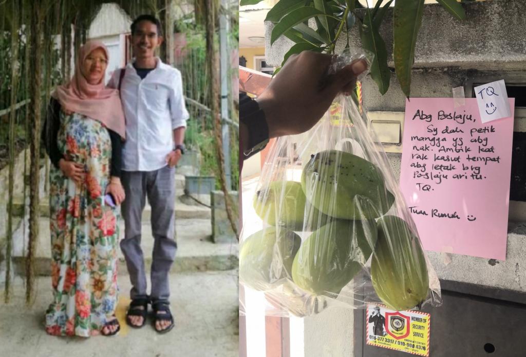 Беременная жена почтальона хотела съесть манго, сорванное с дерева: благодаря чужой щедрости она получила больше фруктов, чем могла пожелать (фото)