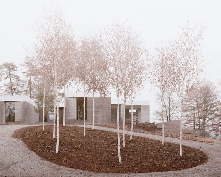 В Швейцарии построили дом в виде одноэтажных, свободно расположенных блоков, объединенных непрерывной крышей (фото)