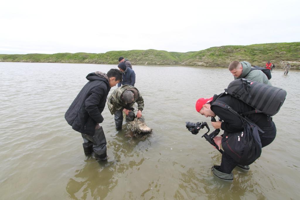 Ученые показали найденные на Ямале останки мамонта и уже назначили вторую экспедицию