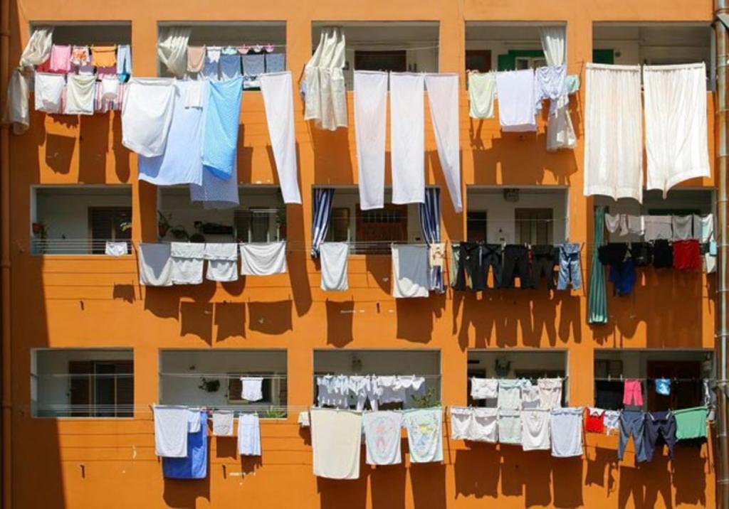 Шарики из шерсти для сушки одежды: 5 простых шагов, которые сделают уборку и стирку экологичнее