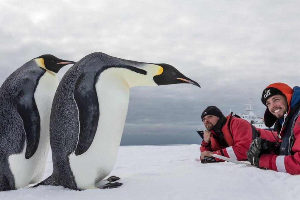 Держать COVID 19 подальше: большинство ученых в этом сезоне не смогут отправиться в Антарктиду
