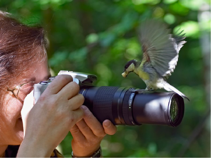 Мужчина сфотографировал  самую счастливую и беззаботную птицу в мире  (фото)