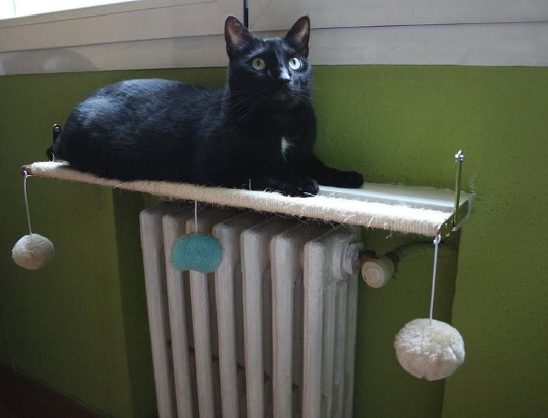Тепло и весело: мастерим над батареей уютную спально-игровую зону для кота