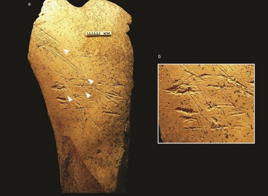 Британские археологи нашли орудия, которые использовал гейдельбергский человек: теперь мы знаем больше о быте и развитии тех людей