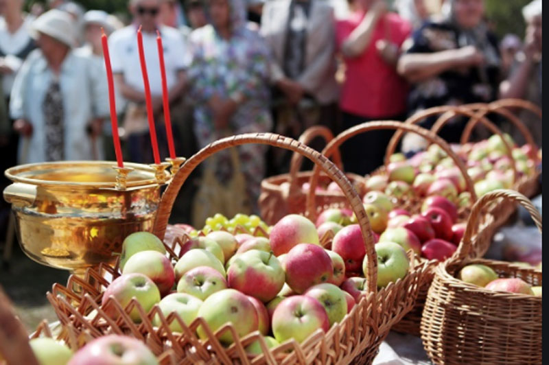 Мнения священников: почему можно и нужно есть яблоки до наступления Яблочного Спаса, если они созревают раньше