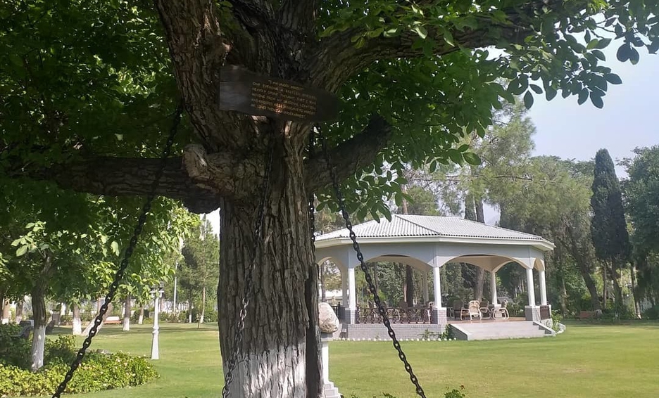 122 года назад английский офицер в Пакистане арестовал... дерево: оно и до сих пор приковано цепями