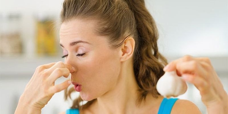 Китайский портал назвал два эффективных способа избавиться от запаха чеснока, не прибегая к чистке зубов