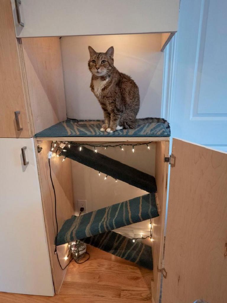 Из фанерных досок смастерили большую стенку для хранения вещей: сделали в ней отсек для кошки, теперь у нее есть уютный домик