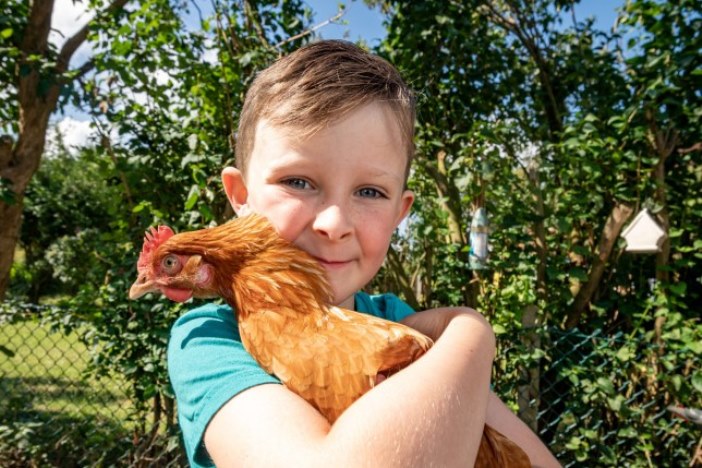 Шестилетний мальчик и курица стали лучшими друзьями